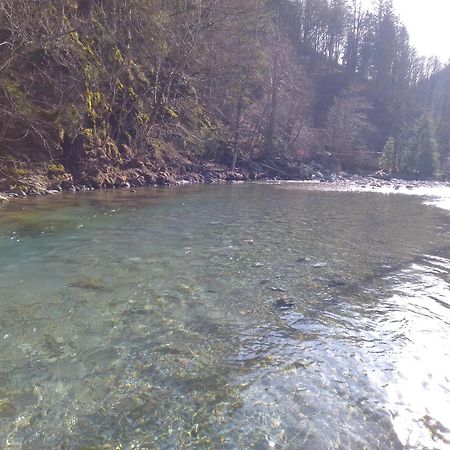 Camping & Glamping Grintovec ゴレンスカ地方 エクステリア 写真