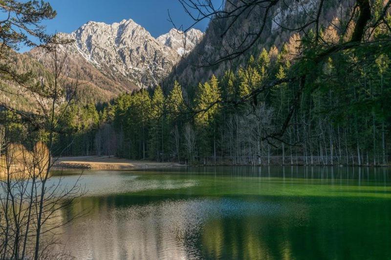 Camping & Glamping Grintovec ゴレンスカ地方 エクステリア 写真