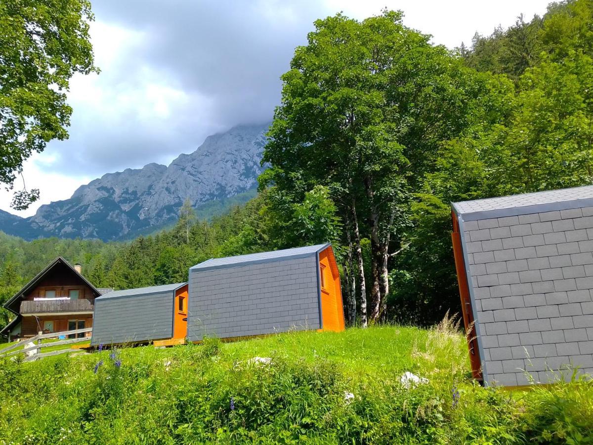 Camping & Glamping Grintovec ゴレンスカ地方 エクステリア 写真