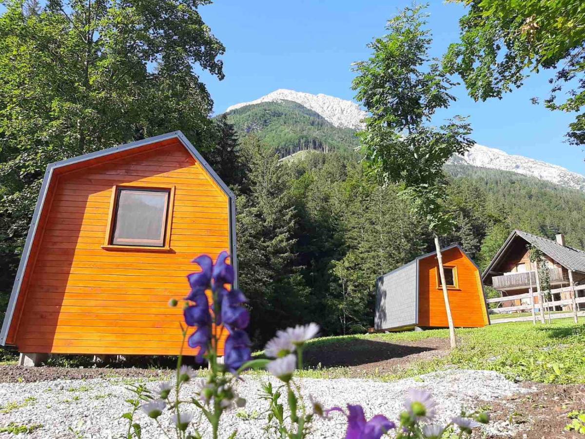 Camping & Glamping Grintovec ゴレンスカ地方 エクステリア 写真