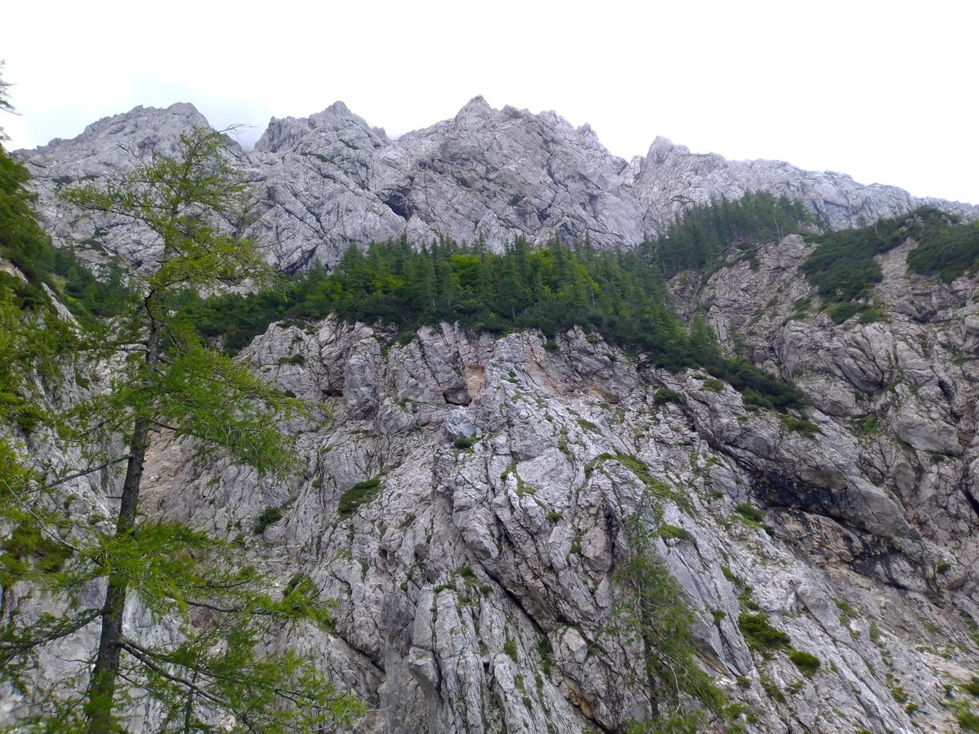 Camping & Glamping Grintovec ゴレンスカ地方 エクステリア 写真