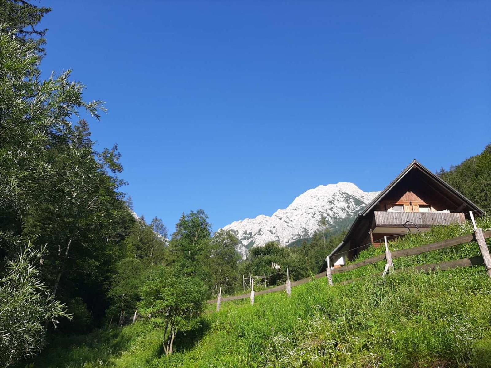 Camping & Glamping Grintovec ゴレンスカ地方 エクステリア 写真