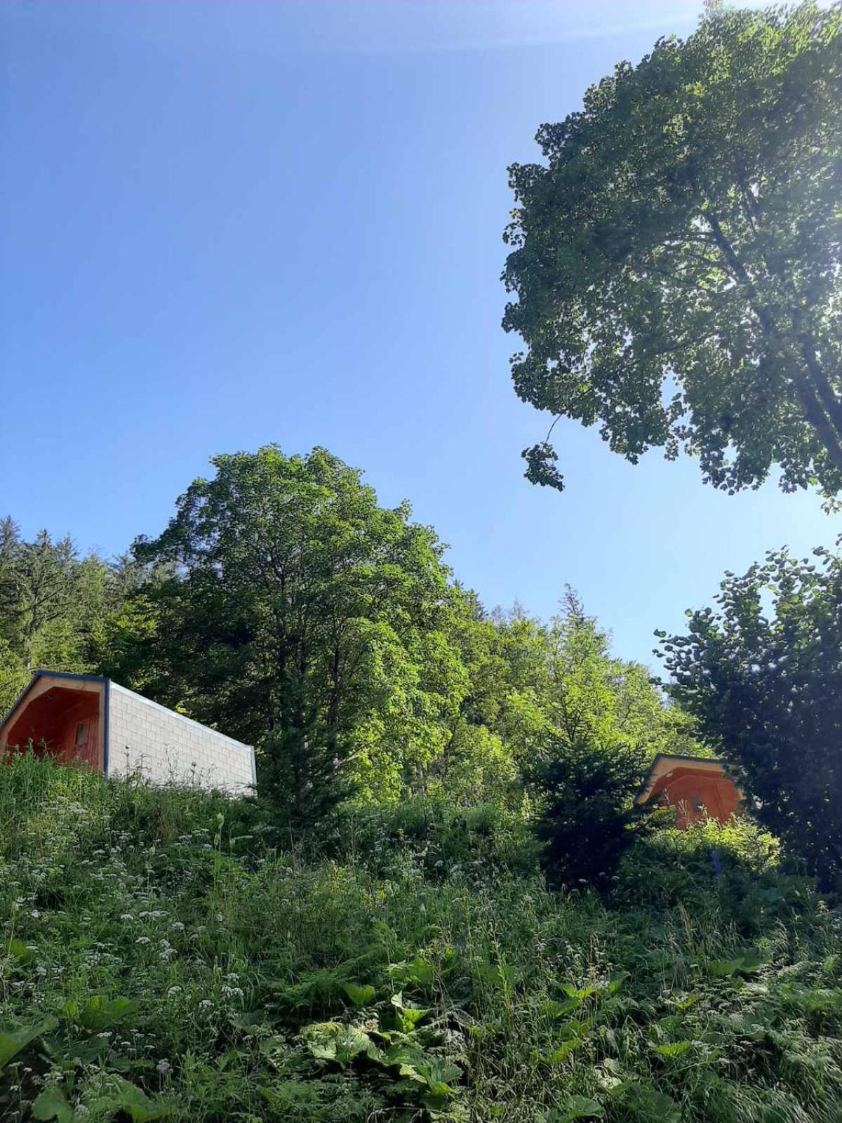 Camping & Glamping Grintovec ゴレンスカ地方 エクステリア 写真