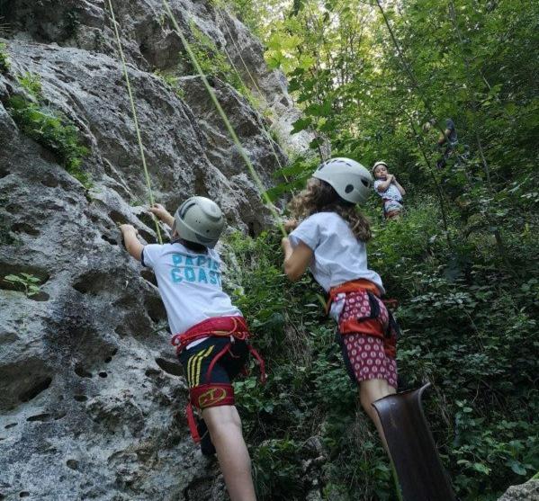 Camping & Glamping Grintovec ゴレンスカ地方 エクステリア 写真
